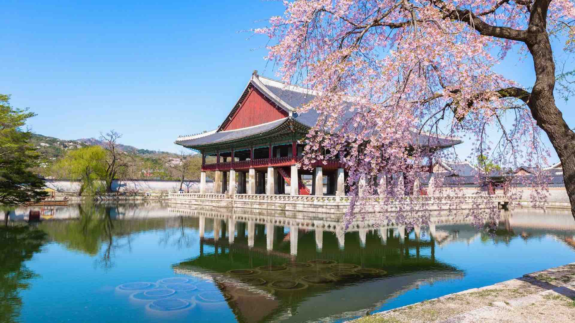 South Korea tourist spending hits record in May